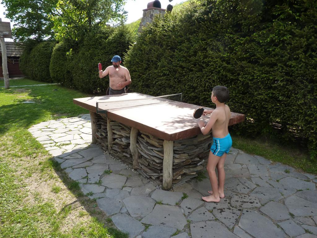 Villa Nagy Lak Ii. Sub Cetate Exterior foto