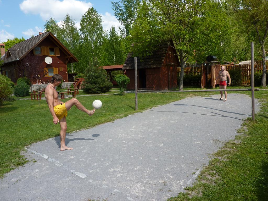 Villa Nagy Lak Ii. Sub Cetate Exterior foto